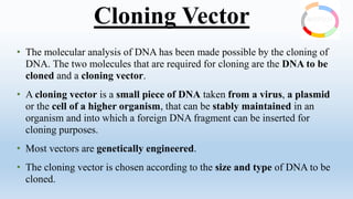 Cloning Vectors Group 222222222222222222222222222222222222221.pdf