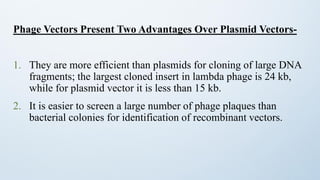 Cloning Vectors Group 222222222222222222222222222222222222221.pdf