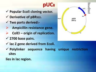 pUC8
 Popular Ecoli cloning vector.
 Derivative of pBR322.
 Two parts derived:-
 Ampicillin resistance gene.
 ColEI – origin of replication.
 2700 base pairs.
 lac Z gene derived from Ecoli.
 Polylinker sequence having unique restriction
sites
lies in lac region.
 