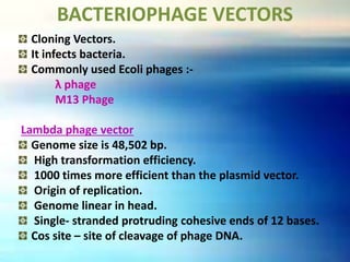 BACTERIOPHAGE VECTORS
Cloning Vectors.
It infects bacteria.
Commonly used Ecoli phages :-
λ phage
M13 Phage
Lambda phage vector
Genome size is 48,502 bp.
High transformation efficiency.
1000 times more efficient than the plasmid vector.
Origin of replication.
Genome linear in head.
Single- stranded protruding cohesive ends of 12 bases.
Cos site – site of cleavage of phage DNA.
 