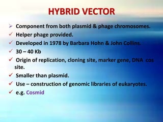 HYBRID VECTOR
 Component from both plasmid & phage chromosomes.
 Helper phage provided.
 Developed in 1978 by Barbara Hohn & John Collins.
 30 – 40 Kb
 Origin of replication, cloning site, marker gene, DNA cos
site.
 Smaller than plasmid.
 Use – construction of genomic libraries of eukaryotes.
 e.g. Cosmid
 