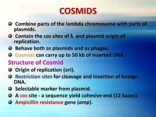 COSMIDS
Combine parts of the lambda chromosome with parts of
plasmids.
Contain the cos sites of λ and plasmid origin of
replication.
Behave both as plasmids and as phages.
Cosmids can carry up to 50 kb of inserted DNA.
Structure of Cosmid
Origin of replication (ori).
Restriction sites for cleavage and insertion of foreign
DNA.
Selectable marker from plasmid.
A cos site - a sequence yield cohesive end (12 bases).
Ampicillin resistance gene (amp).
 