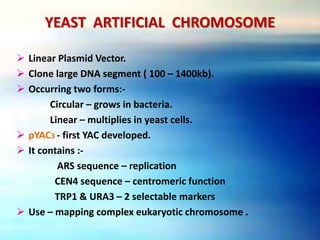 YEAST ARTIFICIAL CHROMOSOME
 Linear Plasmid Vector.
 Clone large DNA segment ( 100 – 1400kb).
 Occurring two forms:-
Circular – grows in bacteria.
Linear – multiplies in yeast cells.
 pYAC3 - first YAC developed.
 It contains :-
ARS sequence – replication
CEN4 sequence – centromeric function
TRP1 & URA3 – 2 selectable markers
 Use – mapping complex eukaryotic chromosome .
 