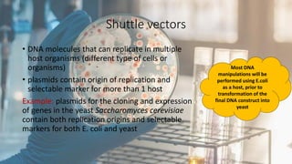 Cloning Vectors (plasmid).pdf