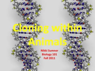 Cloning within
   Animals
     Nikki Sumner
      Biology 101
       Fall 2011
 
