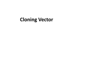 Cloning Vector
 