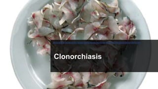 Clonorchiasis PPT
