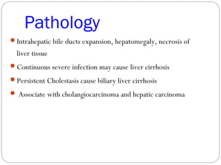 Pathology
Intrahepatic bile ducts expansion, hepatomegaly, necrosis of
liver tissue
Continuous severe infection may cause liver cirrhosis
Persistent Cholestasis cause biliary liver cirrhosis
 Associate with cholangiocarcinoma and hepatic carcinoma
 