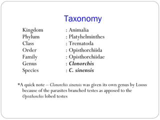 Taxonomy
Kingdom : Animalia
Phylum : Platyhelminthes
Class : Trematoda
Order : Opisthorchiida
Family : Opisthorchiidae
Genus : Clonorchis
Species : C. sinensis
*A quick note – Clonorchis sinensis was given its own genus by Looss
because of the parasites branched testes as apposed to the
Opisthorchis lobed testes
 