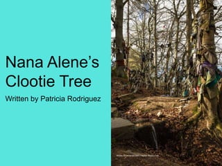 Nana Alene’s
Clootie Tree
Written by Patricia Rodriguez
Photo © Lensman 300 | Dollar Photo Club
 