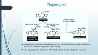 Clopidogrel
 is a pro-drug, with hepatic metabolism (2 hours) required to form the highly reactive and
short-lived compound responsible for its activity .
 The requirement for cytochrome P450 family of enzymes for metabolism (activation)
 