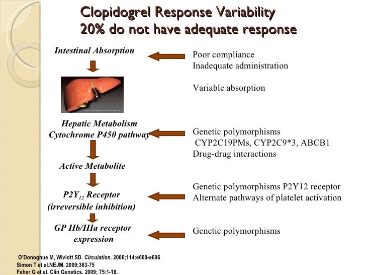 Plavix Medication Action