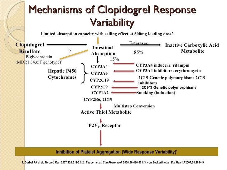 Plavix Medication Action