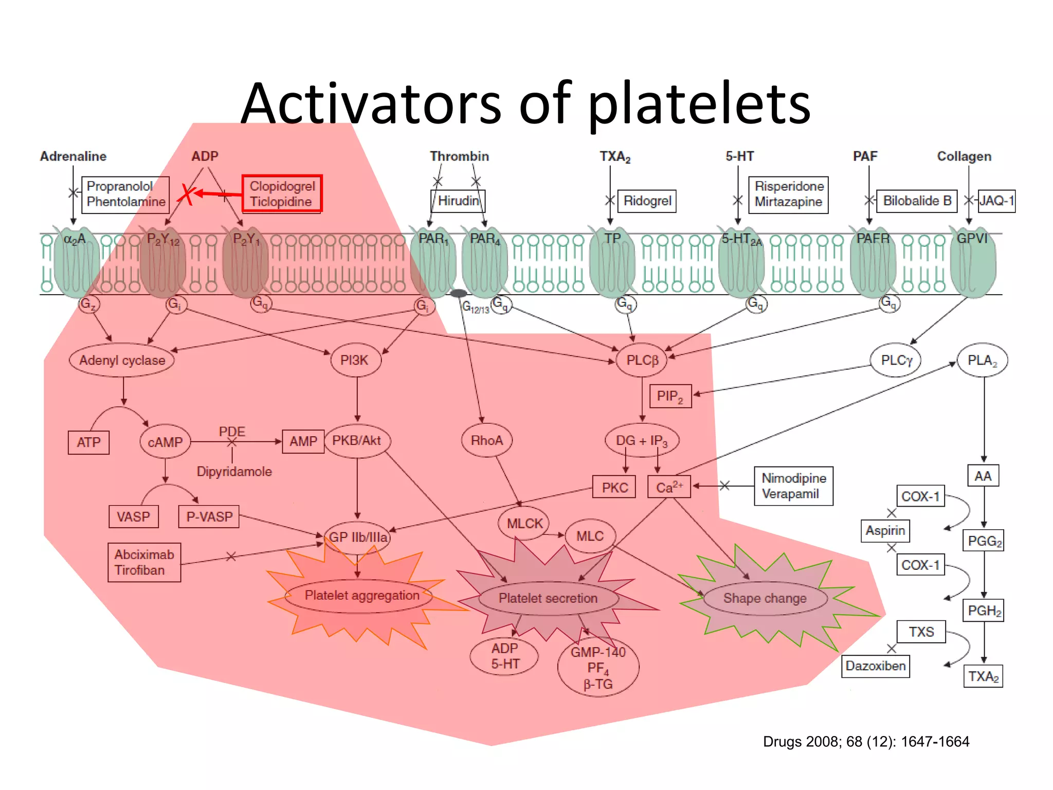 Clopidogrel resistance
