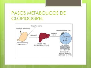 PASOS METABOLICOS DE
CLOPIDOGREL
 