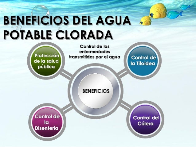 Importancia De La Cloracion Del Agua es.slideshare.net