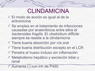 CLINDAMICINA
El modo de acción es igual al de la
eritromicina
Se emplea en el tratamiento de infecciones
causadas por anaeróbicos entre ellos el
bacteroides fragilis. El clostridium difficile
siempre es resiste a la clindamicina
Tiene buena absorción por vía oral
Tiene buena distribución excepto en el LCR
Penetra al hueso incluso sin inflamación
Metabolismo hepático y excreción biliar y
renal
Aumenta [ ] con inh de P450
 