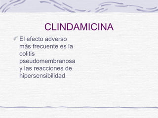 CLINDAMICINA
El efecto adverso
más frecuente es la
colitis
pseudomembranosa
y las reacciones de
hipersensibilidad
 