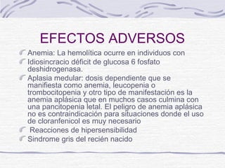 EFECTOS ADVERSOS
Anemia: La hemolítica ocurre en individuos con
Idiosincracio déficit de glucosa 6 fosfato
deshidrogenasa.
Aplasia medular: dosis dependiente que se
manifiesta como anemia, leucopenia o
trombocitopenia y otro tipo de manifestación es la
anemia aplásica que en muchos casos culmina con
una pancitopenia letal. El peligro de anemia aplásica
no es contraindicación para situaciones donde el uso
de cloranfenicol es muy necesario
 Reacciones de hipersensibilidad
Sindrome gris del recién nacido
 