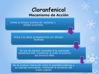 Cloranfenicol 
Mecanismo de Acción 
Inhibe la síntesis proteica de bacterias y 
células eucariotas 
Entra a la célula probablemente por difusión 
facilitada 
Se une de manera reversible al la subunidad 
ribosómica 50S, impidiendo la unión al extremo 
del aminocil tRNA 
No se produce interacción entre la peptidiltransferasa y 
su sustrato aminoácido, inhibiendo la formación del 
enlace péptido 
 