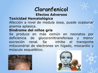 Cloranfenicol 
Efectos Adversos 
Toxicidad Hematológica 
Afección a nivel de medula ósea, puede ocasionar 
anemia aplasica. 
Síndrome del niños gris 
Se produce en más común en neonatos por 
deficiencia de glucoroniltransferasa y menor 
excreción renal. Se inhibe el transporte 
mitocondrial de electrones en hígado, miocardio y 
músculo esquelético. 
 