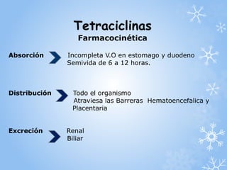 Tetraciclinas 
Farmacocinética 
Absorción Incompleta V.O en estomago y duodeno 
Semivida de 6 a 12 horas. 
Distribución Todo el organismo 
Atraviesa las Barreras Hematoencefalica y 
Placentaria 
Excreción Renal 
Biliar 
 
