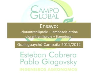 Ensayo:
 -clorantraniliprole + lambdacialotrina
    -clorantraniliprole + tiametoxan

Gualeguaychú-Campaña 2011/2012
 