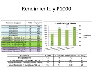 Rendimiento y P1000

                                                      Rendimiento
        Tratamiento: descripcion              P1000
                                                         kg/ha
               testigo absoluto                125       1058
               testigo absoluto                134       1120
               testigo absoluto                139       1409
               testigo absoluto                135       1106
               testigo absoluto                136       1183
               testigo absoluto                125       740
   clorantraniliprole + tiametoxan 50 cm       147       1356
   clorantraniliprole + tiametoxan 50 cm       155       1563
   clorantraniliprole + tiametoxan 50 cm       150       1784
clorantraniliprole + lambdacialotrina 40 cm    143       1327
clorantraniliprole + lambdacialotrina 40 cm    158       1418
clorantraniliprole + lambdacialotrina 40 cm    160       1587
  clorantraniliprole + tiametoxan 100 cm       152       1995
  clorantraniliprole + tiametoxan 100 cm       154       1466
  clorantraniliprole + tiametoxan 100 cm       146       1548


                             Promedios                              P1000   % / testigo Rendimiento % / testigo
                          testigo absoluto                           132         0         1103          0
              clorantraniliprole + tiametoxan 50 cm                  151        14         1567         42
           clorantraniliprole + lambdacialotrina 40 cm               154        16         1444         31
             clorantraniliprole + tiametoxan 100 cm                  151        14         1670         51
 