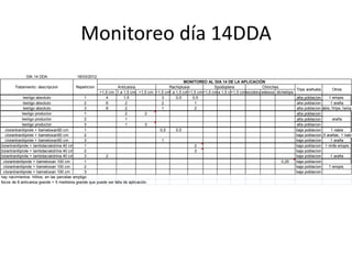 Monitoreo día 14DDA
               DIA 14 DDA                   18/03/2012
                                                                                                   MONITOREO AL DIA 14 DE LA APLICACIÓN
        Tratamiento: descripcion           Repeticion            Anticarsia                Rachiplusia           Spodoptera               Chinches
                                                                                                                                                            Trips arañuela      Otros
                                                         >1,5 cm 1 a 1,5 cm <1,5 cm >1,5 cm a 1,5 cm<1,5 cm>1,5 cm a 1,5 cm
                                                                                           1                     1        <1,5 cm
                                                                                                                                piezodorus
                                                                                                                                         edessa dichelops
               testigo absoluto                  1          4        1,5               3      0,5      0,5                                                  alta poblacion     1 eriopis
               testigo absoluto                  2          6         2                2                1                                                   alta poblacion      1 araña
               testigo absoluto                  3          8         2                1                2                                                   alta poblacion
                                                                                                                                                                         1nabis,1trips,1eriop
              testigo productor                  1                    2        2                                                                            alta poblacion
              testigo productor                  2                    1                                                                                     alta poblacion       araña
              testigo productor                  3                    1        3                                                                            alta poblacion
   clorantraniliprole + tiametoxan50 cm          1                                    0,5     0,5                                                           baja poblacion      1 nabis
   clorantraniliprole + tiametoxan50 cm          2                                                                                                          baja poblacion arañas, 1 nabis
                                                                                                                                                                          1,5
   clorantraniliprole + tiametoxan50 cm          3                                     1                                                                    baja poblacion      1 araña
clorantraniliprole + lambdacialotrina 40 cm      1                                                     2                                                    baja poblacion 1 ninfa eriopis
clorantraniliprole + lambdacialotrina 40 cm      2                                                     3                                                    baja poblacion
clorantraniliprole + lambdacialotrina 40 cm      3        2                                                                                                 baja poblacion      1 araña
  clorantraniliprole + tiametoxan 100 cm         1                                                                                                 0,25     baja poblacion
  clorantraniliprole + tiametoxan 100 cm         2                                                                                                          baja poblacion     1 eriopis
  clorantraniliprole + tiametoxan 100 cm         3                                                                                                          baja poblacion
 hay nacimientos: hilitos, en las parcelas ampligo
 focos de 8 anticarsia grande + 5 medidora grande que puede ser falla de aplicación.
 