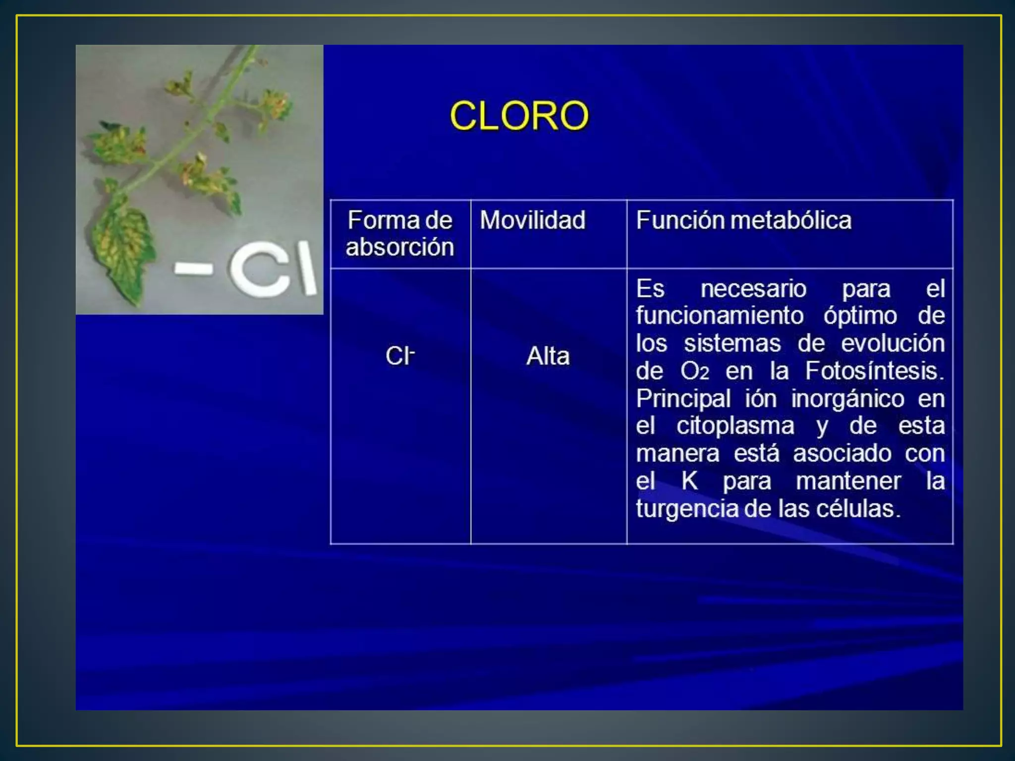 bioelemento cloro | PPTX | Chemistry | Science
