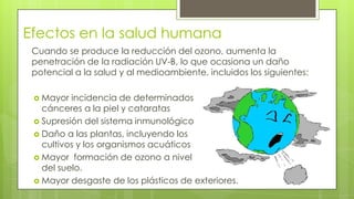 Efectos en la salud humana
Cuando se produce la reducción del ozono, aumenta la
penetración de la radiación UV-B, lo que ocasiona un daño
potencial a la salud y al medioambiente, incluidos los siguientes:
 Mayor incidencia de determinados
cánceres a la piel y cataratas
 Supresión del sistema inmunológico
 Daño a las plantas, incluyendo los
cultivos y los organismos acuáticos
 Mayor formación de ozono a nivel
del suelo.
 Mayor desgaste de los plásticos de exteriores.
 