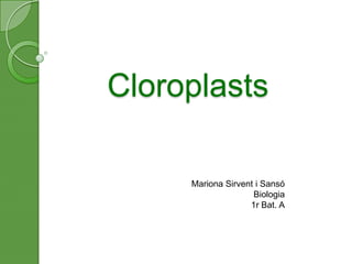 Cloroplasts
Mariona Sirvent i Sansó
Biologia
1r Bat. A

 