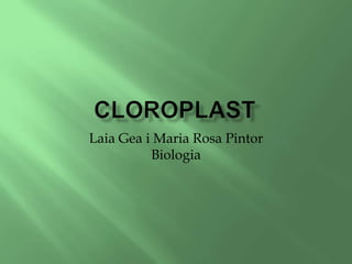 Laia Gea i Maria Rosa Pintor
Biologia
 
