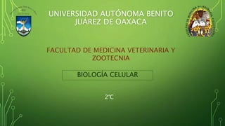 UNIVERSIDAD AUTÓNOMA BENITO
JUÁREZ DE OAXACA
FACULTAD DE MEDICINA VETERINARIA Y
ZOOTECNIA
BIOLOGÍA CELULAR
2°C
 