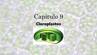 Capítulo 9
Cloroplastos
 