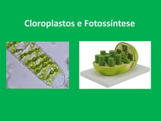 Cloroplastos e Fotossíntese
 