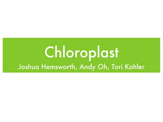 Chloroplast
Joshua Hemsworth, Andy Oh, Tori Kohler
 