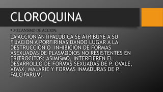 CLOROQUINA
• MECANISMO DE ACCION:
LA ACCIÓN ANTIPALÚDICA SE ATRIBUYE A SU
FIJACIÓN A PORFIRINAS DANDO LUGAR A LA
DESTRUCCIÓN O INHIBICIÓN DE FORMAS
ASEXUADAS DE PLASMODIOS NO RESISTENTES EN
ERITROCITOS; ASIMISMO, INTERFIEREN EL
DESARROLLO DE FORMAS SEXUADAS DE P. OVALE,
VIVAX, MALARIE Y FORMAS INMADURAS DE P.
FALCIPARUM.
 