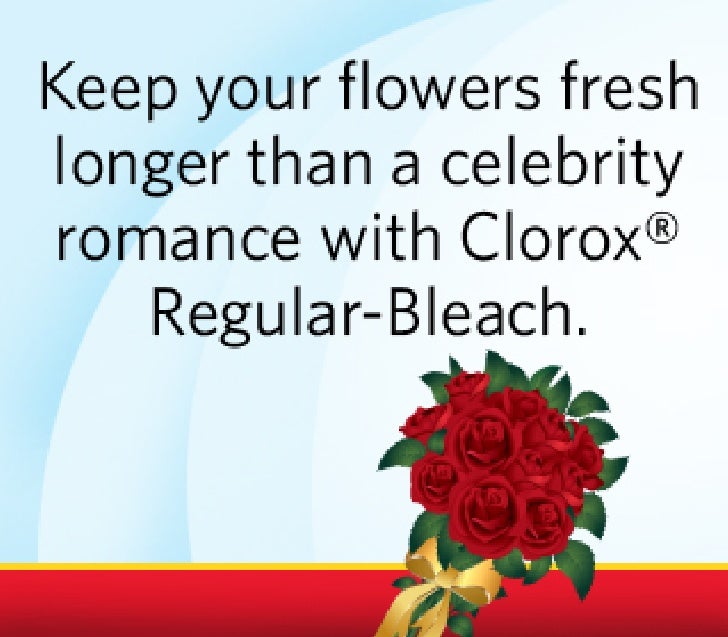 Tips to Keep Flowers Fresh for Longer