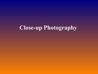 Close-up Photography  