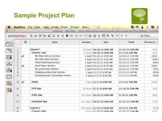 Sample Project Plan
 