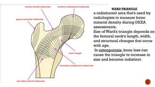 closed reduction techniques in neck of femur fracture.pptx