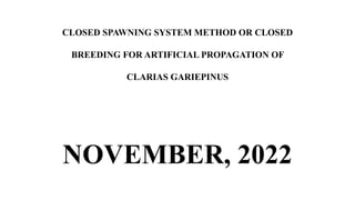 CLOSED SPAWNING SYSTEM METHOD OR CLOSED
BREEDING FOR ARTIFICIAL PROPAGATION OF
CLARIAS GARIEPINUS
NOVEMBER, 2022
 