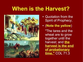 When is the Harvest?
● Quotation from the
Spirit of Prophecy.
● (Note the yellow)
"The tares and the
wheat are to grow
together until the
harvest; and the
harvest is the end
of probationary
time." COL 71.3
 
