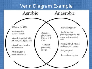 Venn Diagram Example
 
