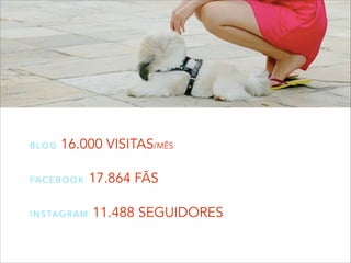 BLOG

16.000 VISITAS/MÊS

FA C E B O O K

I N S TA G R A M

17.864 FÃS
11.488 SEGUIDORES

 