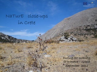 NaTurE close-ups
    in Crete




                   During the mobility
                   to Ierapetra – Greece
                     September 2012
 