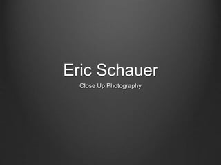 Eric Schauer 
Close Up Photography 
 