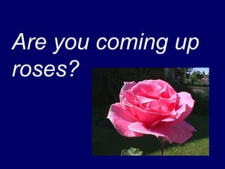 Closing Remarks, Who Else Lived Here?