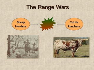 The Range Wars Sheep Herders Cattle Ranchers 